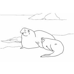 Coloring page: Marine Animals (Animals) #22234 - Free Printable Coloring Pages