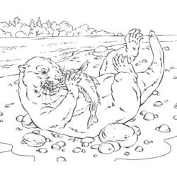 Coloring page: Marine Animals (Animals) #22236 - Free Printable Coloring Pages