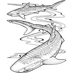 Coloring page: Marine Animals (Animals) #22244 - Free Printable Coloring Pages