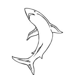 Coloring page: Marine Animals (Animals) #22255 - Free Printable Coloring Pages