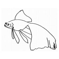 Coloring page: Marine Animals (Animals) #22264 - Free Printable Coloring Pages