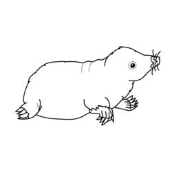 Coloring pages: Mole rat - Free Printable Coloring Pages