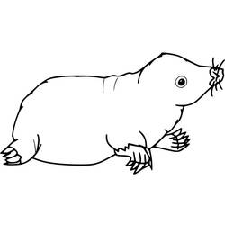Mole rat (Animals) coloring page #210774 to print and color