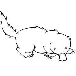 Mole rat (Animals) coloring page #210779 to print and color