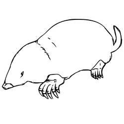 Mole rat (Animals) coloring page #210780 to print and color
