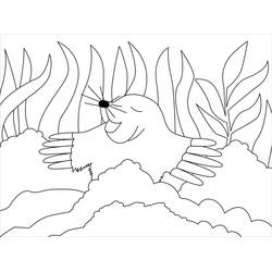Mole rat (Animals) coloring page #210783 to print and color