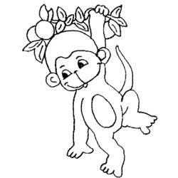 Coloring page: Monkey (Animals) #14143 - Free Printable Coloring Pages