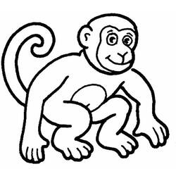 Coloring page: Monkey (Animals) #14144 - Printable coloring pages