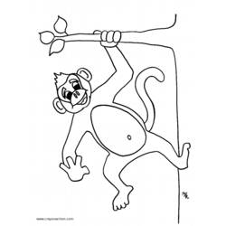 Coloring page: Monkey (Animals) #14155 - Free Printable Coloring Pages