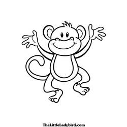 Coloring page: Monkey (Animals) #14167 - Printable coloring pages