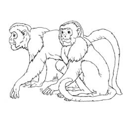 Coloring page: Monkey (Animals) #14177 - Free Printable Coloring Pages