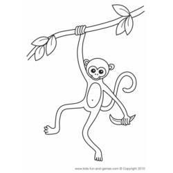 Coloring page: Monkey (Animals) #14184 - Free Printable Coloring Pages
