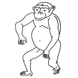 Coloring page: Monkey (Animals) #14187 - Free Printable Coloring Pages
