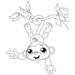 Coloring page: Monkey (Animals) #14193 - Printable coloring pages