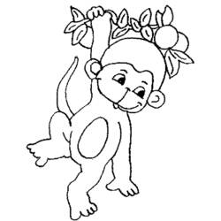 Coloring page: Monkey (Animals) #14203 - Free Printable Coloring Pages