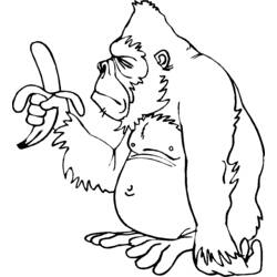 Coloring page: Monkey (Animals) #14217 - Printable coloring pages