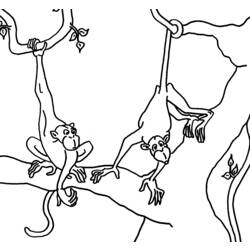 Coloring page: Monkey (Animals) #14232 - Free Printable Coloring Pages
