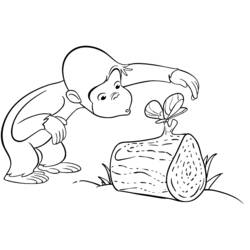 Coloring page: Monkey (Animals) #14240 - Printable coloring pages