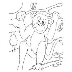 Coloring page: Monkey (Animals) #14252 - Free Printable Coloring Pages