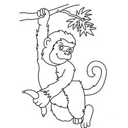 Coloring page: Monkey (Animals) #14254 - Printable coloring pages