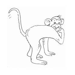 Coloring page: Monkey (Animals) #14278 - Free Printable Coloring Pages