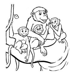 Coloring page: Monkey (Animals) #14290 - Printable coloring pages