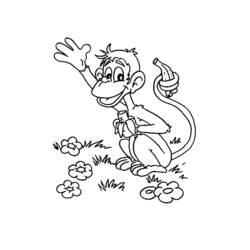 Coloring page: Monkey (Animals) #14300 - Free Printable Coloring Pages