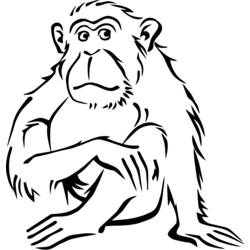 Coloring page: Monkey (Animals) #14320 - Printable coloring pages