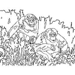 Coloring page: Monkey (Animals) #14331 - Free Printable Coloring Pages