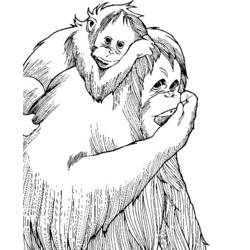 Coloring page: Monkey (Animals) #14333 - Free Printable Coloring Pages