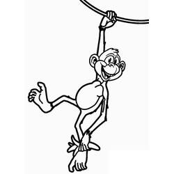 Monkey (Animals) coloring page #175035 to print and color