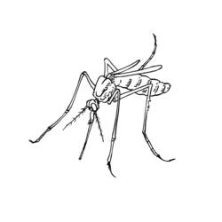 Coloring page: Mosquito (Animals) #11319 - Printable coloring pages