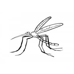 Coloring page: Mosquito (Animals) #11322 - Printable coloring pages