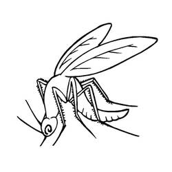 Mosquito (Animals) coloring page #207164 to print and color