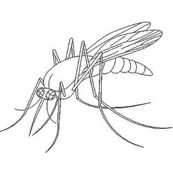 Mosquito (Animals) coloring page #207179 to print and color