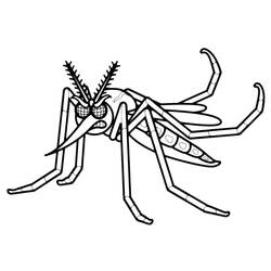 Mosquito (Animals) coloring page #207184 to print and color