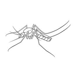 Mosquito (Animals) coloring page #207187 to print and color