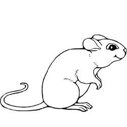 Coloring page: Mouse (Animals) #13947 - Printable coloring pages