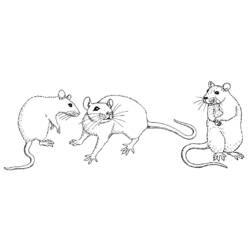 Coloring page: Mouse (Animals) #14056 - Printable coloring pages
