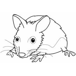 Coloring page: Mouse (Animals) #14130 - Free Printable Coloring Pages