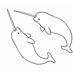 Narwhal (Animals) coloring page #186641 to print and color