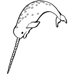 Narwhal (Animals) coloring page #186650 to print and color
