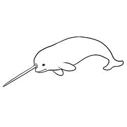 Narwhal (Animals) coloring page #186657 to print and color