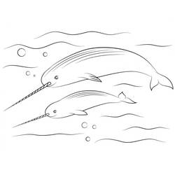 Narwhal (Animals) coloring page #186664 to print and color