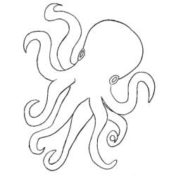 Coloring page: Octopus (Animals) #18923 - Printable coloring pages