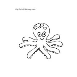 Coloring page: Octopus (Animals) #18947 - Printable coloring pages