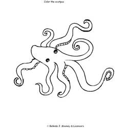 Coloring page: Octopus (Animals) #18965 - Free Printable Coloring Pages
