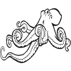 Coloring page: Octopus (Animals) #18966 - Printable coloring pages