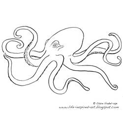 Coloring page: Octopus (Animals) #18979 - Printable coloring pages