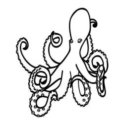 Coloring page: Octopus (Animals) #19011 - Printable coloring pages